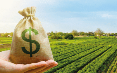 🌾💰 Retenciones Vuelven en Julio: Sorpresa y Preocupación en el Campo por el Anuncio de Milei