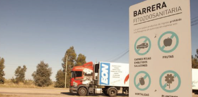 🥩 Patagonia sin barrera sanitaria: se abre el mercado, pero crecen las tensiones