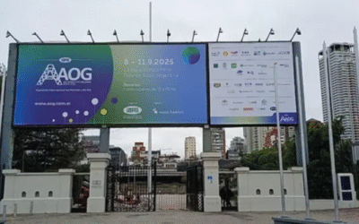 Milei y la AOG: las señales que el Gobierno envió a los gigantes del petróleo