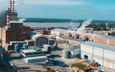 💰 Celulosa Argentina cambia de dueño por ¡US$ 1!: arranca una nueva era en plena crisis