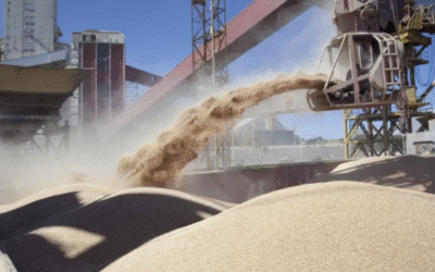 🌾 Récord histórico: el agro argentino liquidó USD 7.100 millones en septiembre