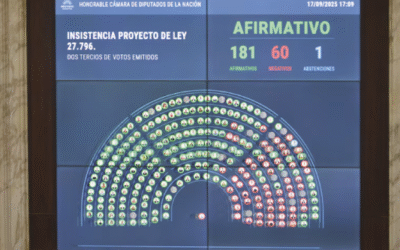 💥 Diputados dan vuelta el veto y sostienen financiamiento de la salud y las universidades