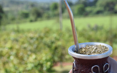 Yerba Mate en alza: récord de más de 249 millones de kilos vendidos y exportaciones a toda marcha