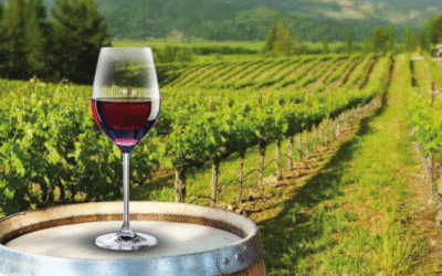 🍷 Revolución normativa en el vino argentino: se retira la barrera de casi mil regulaciones