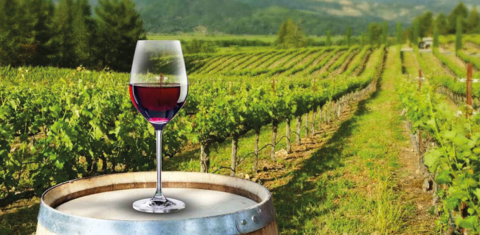 🍷 Revolución normativa en el vino argentino: se retira la barrera de casi mil regulaciones