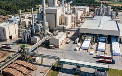 Corrientes se prepara para una jugada millonaria: la inversión que puede transformar toda una región