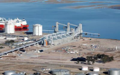 US$400 millones y una apuesta gigante: Louis Dreyfus elige Argentina para una de las plantas más grandes del mundo