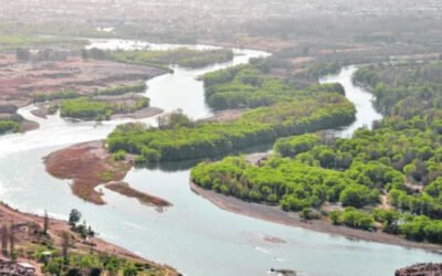 La hidrovía que podría transformar Vaca Muerta: el proyecto de 720 kilómetros que busca cambiar la logística energética argentina